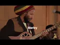 So Much Trouble In The World - Ziggy Marley live performance | GRAMMYs