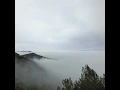 Silver Cord - Hraach