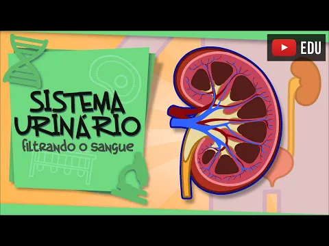 Download MP3 Sistema Urinário - filtrando o sangue