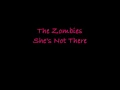 The Zombies She's not there Lyrics