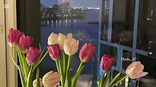 عاصي الحلاني بحبك وبغار بدون موسيقى  عاصي الحلاني بحبك وبغار بدون موسيقى