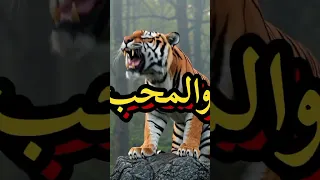 نحن لا نقطع صلة الرحم Training 