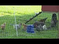 Farm crawl in Zionsville this weekend