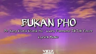 Download Liany Panmuma - Bukan PHO ( Tiktok Cover) Lyrics Music MP3