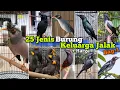 Download Lagu 25 jenis burung kicau keluarga Jalak ‼️ Bag-1. Disertai harga bahannya.