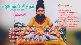  pavam seiyathiru maname lyric video kaduveli sidhar