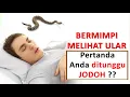 Download Lagu Tafsir Mimpi Bertemu Ular, Pertanda Akan Ada Seseorang yang Datang ?