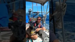 #celestialnavigation