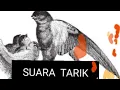 SUARA TARIK DALAM UTK RBW PEMULA
