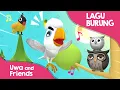 Kumpulan Lagu burung - Burung Kutilang, Burung Kakaktua, Burung Hantu
