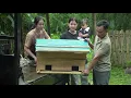 Download Lagu A meaningful gift from Uncle Chúc and Hoa for the couple Mạnh and Yến - Uncle Chuc’s Stories