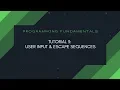 Tutorial 3 User Input Escape Sequences