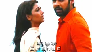 موت أبهي و براجيا على اغنيه حزينه 