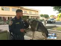 Lompoc PD welcomes new K9