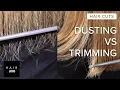 How To Get Rid Of Split Ends Dusting Vs Trimming Hair com