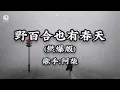 阿柴 - 野百合也有春天 (燃爆版) Lyrics || Bách Hợp Dại Cũng Có Ngày Xuân - A Sài
