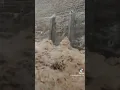 Download Lagu https://vt.tiktok.com/ZSHGRMLT44b8Y-7TLCt/