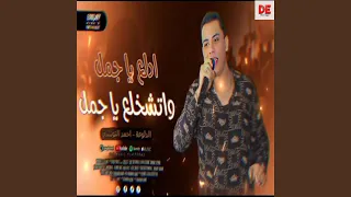 كوكتيل الدلع كله احمد التونسي الغمراوي دندنها