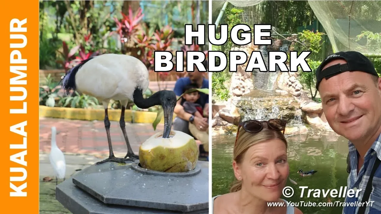 KUALA LUMPUR Bird Park Tour - KL Bird Park has the World´s Biggest Avery