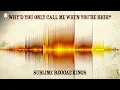 Why’d You Only Call Me When You’re High? -  Sublime Reggae Kings