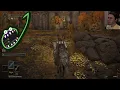 Jerma Streams with Chat - Elden Ring Part 8
