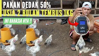 Download FEED ONLY 50% BRAN, 2-MONTH-OLD CHICKENS REACH 1KG WEIGHT MP3