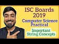 Class XII ISC Computer Science Practical Paper 2019 - Very Important String Concepts