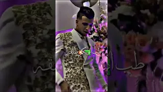 حالات واتس حمو الطيخه والكروان يا صاحبي خذ بالك قصاد منك كلاب 