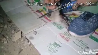 ياريتها جابت دكر بط ولا خلفتك   قال عايز يذبح حمامة قال    دندنها