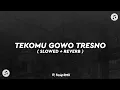 Download Lagu DJ TEKOMU GOWO TRESNO 🎶 ( SLOWED + REVERB )🎧