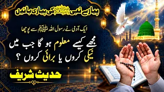Mujhe Kaise Maloom Ho Ke Main Neki Kar Raha Hoon Ya Burai? | Pyare Nabi ﷺ Ki Pyari Baat | Hadith