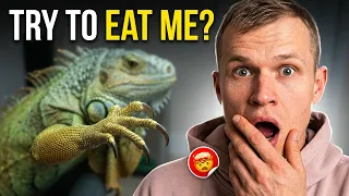 I Tried to Cut His Claws… He Tried to Eat Me 😅
