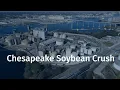 Chesapeake Soybean Processing