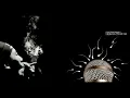 Drunken Tiger feat. CB Mass, 김진표 a.k.a. JP & Baby Tasha from Tashannie - The Movement (Lyrics)