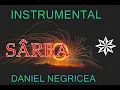 Download Lagu █▬█ █ ▀█▀  SARBA - DANIEL NEGRICEA [ DOMN PROFESOR DANCIU ]