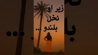 زیر او نخل بلندو موزیک بندری غمگین با صحنه ای خاص 