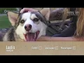 The Waiting Tails Longstay Shelter Pets of El Paso Ep 5