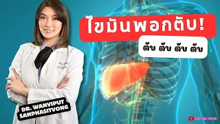  มีวิธีรักษาไขมันพอกตับอย่างไรบ้าง 
