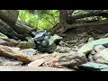 Ccw J and H crawling some rocks