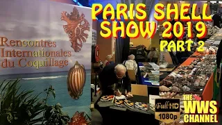 Download Thousands of seashells ! Paris Shell Show 2019 (France) Sea shell Collection (Part 2) MP3