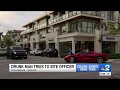 Naples man bites police officer during 5th Avenue rampage