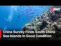 South China Sea Reefs Show Recovery As China Reveals New Ecological Survey DWS News AN14