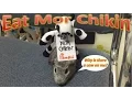 Eat Mor Chikin