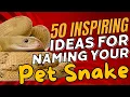 50 Inspiring Ideas For Naming Your Pet Snake