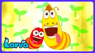 O tapete MÁGICO chegou!? ✨ - Larva in Mars · Desenhos Animados para Crianças de 2026