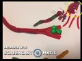 Candy Neuron
