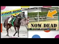 Dynamic Secret KILLED EMERALD DOWNS 7 18 26 emeralddowns