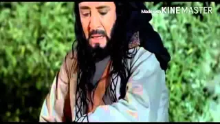 شيلة الليل دونش ضواني  تصميمي  لودي دندنها