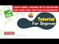Launching Chrome With Selenium Execute Your First Test Case on MacBook