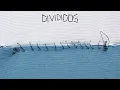 Divididos - Aliados en un viaje - DIVIDIDOS